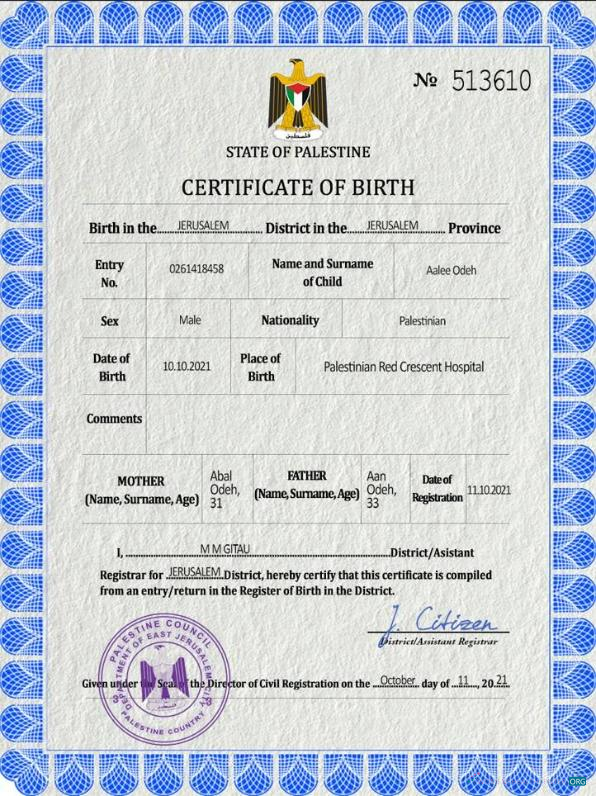 Download Palestine vital record birth certificate PSD template Photoshop template